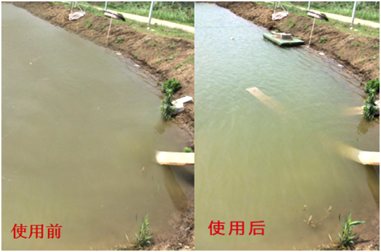 渾濁水、對(duì)蝦吃料差怎么處理？